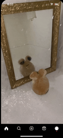 a phone screen shows a picture of a mirror and a stuffed animal