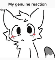 a black and white drawing of a cat with the words " my genuine reaction " below it