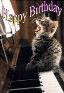 a kitten is sitting on a piano keyboard with the words happy birthday written above it