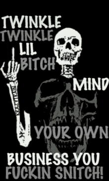 a poster with a skeleton giving the middle finger and the words twinkle twinkle lil bitch mind your own