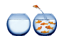 a fish is jumping out of a smaller bowl