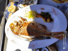 a white plate topped with a fish and potatoes has a redmi note 8 pro ai quad camera on it