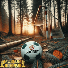 a soccer ball with the word sbobet on it is in the middle of a forest