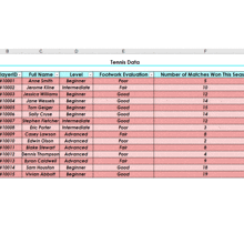 a spreadsheet shows the number of matches won this season and the tennis data