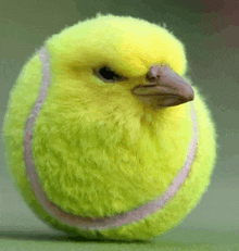 a yellow tennis ball with a brown beak