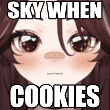 a picture of a girl with a bandage on her nose and the caption sky when cookies