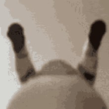 a blurred image of a person laying on their stomach