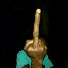 a person is making a middle finger sign with their hand .