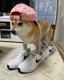 a dog wearing a pink nike hat is standing next to a pair of nike air max shoes