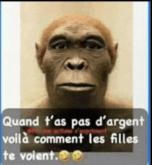 Pauvre Homme Des Cavernes Meme