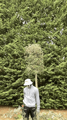 a man wearing a hat and a mask stands in front of a tree