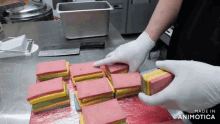 a person wearing white gloves is arranging slices of food on a cutting board with the words made in animotica below