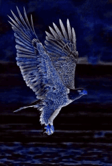 a blue and white bird is flying in the dark