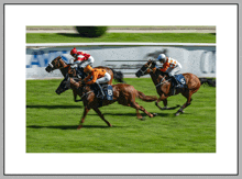 a jockey on a horse with the number 8 on its saddle