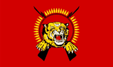 a drawing of a tiger on a red background with two guns