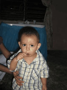 a little boy in a plaid shirt is eating something with a straw