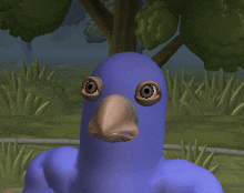 a blue bird with a large beak and big eyes