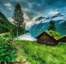 a couple of houses with grass on the roofs are sitting next to a lake with mountains in the background