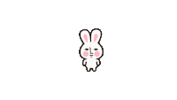 a cartoon rabbit with a face on it 's face .