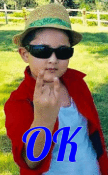 a young boy wearing sunglasses and a hat is giving the middle finger and the word ok is below him