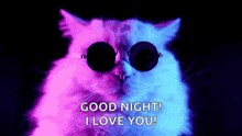 a cat wearing sunglasses with the words `` good night , i love you '' written on it .