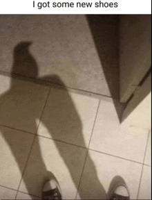 a picture of a person 's shadow with the words i got some new shoes on the bottom