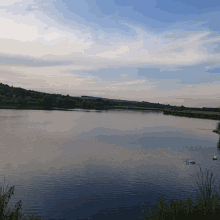 two swans are swimming in a lake with a blue sky in the background