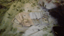 a stack of twenty dollar bills are laying on a bed