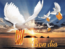 a bunch of birds are flying over a body of water with the words bon dia written on the bottom