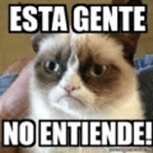 a grumpy cat is being held in someone 's arms with the caption esta gente no entiende .