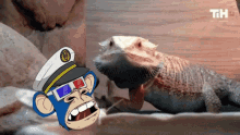 a cartoon of a monkey wearing a captain 's hat and 3d glasses next to a lizard