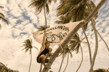 a person hanging from a palm tree holding a flag that says " aguilandia "