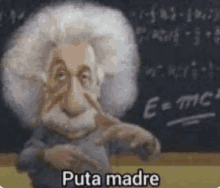 a cartoon of albert einstein standing in front of a blackboard with the words `` puta madre '' written on it .