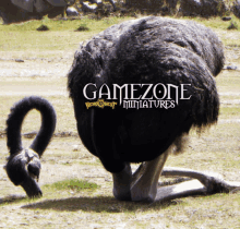 a picture of an ostrich with the words gamezone written on it