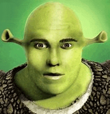 a close up of shrek 's face on a green background . shrek has a bald head and large ears .