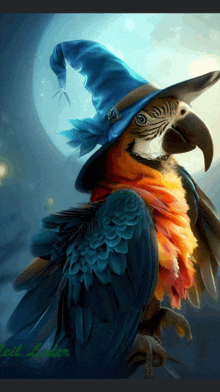 a colorful parrot wearing a blue witch hat with the word witch on it