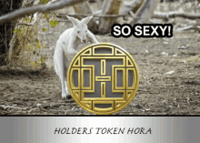 a picture of a kangaroo and a coin that says so sexy holders token hora