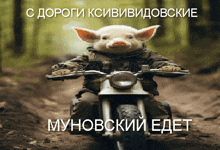 a pig is riding a motorcycle on a dirt road in a forest