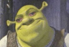 shrek from shrek is looking at the camera with his eyes closed .