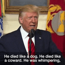 donald trump is giving a speech in front of a microphone and talking about a dog .