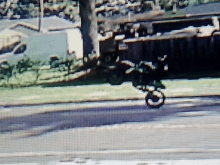 a blurry picture of a person riding a bike on a road