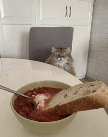 a cat sits in a chair behind a bowl of soup and bread