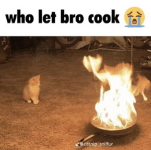 a cat is standing next to a pan of flames with the caption who let bro cook