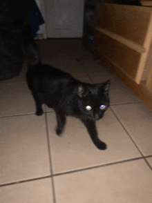 a black cat with blue eyes is walking on a tile floor