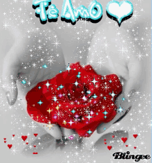 a graphic of a person holding a red rose with the words te amo above it