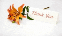 a thank you card with a flower in the background .