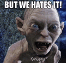 a picture of gollum from the lord of the rings with the caption " but we hates it "