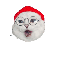 a white cat with glasses and a red hat