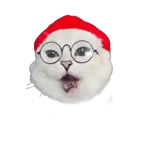 a white cat with glasses and a red hat