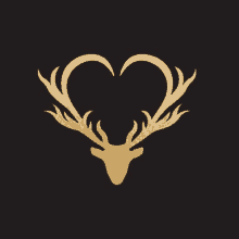 a deer with antlers shaped like a heart on a black background .